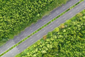 duong rung sac tren cao 300x200 1